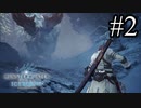 【実況】MHWIBでハンターやるわ#2 (vsバフバロ)