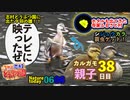 0606今日撮り野鳥動画まとめ　祝カルガモ親子が志村どうぶつ園出演！寺家ふるさと村のホタルも