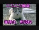 ニコニコ動画　無償化　新規約