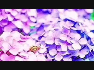 こわさんLIVE　2020/06/06