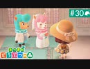 【実況】癒しの島＊あつまれどうぶつの森を初プレイ【part.30】