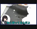 九條会長の奇行