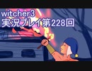 探し人を求めてwitcher3実況プレイ第228回