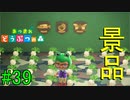【実況】捻くれ者の無人島生活【あつまれ　どうぶつの森】３９日目