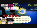 【あつ森】霊夢容疑者の無人島開拓【Part10】