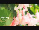 新型ウィルス対応❤️❤️Refresh Movie (short)