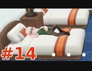 【実況】”対人ルールで”ポケットモンスター Let's Go! イーブイ やります！ part14