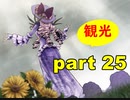 【実況】 素晴らしき世界観を求め、漆黒のシャルノス【part25】