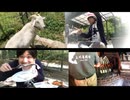 #七原くん 20200607「自然と戯れる！山中釣り。」米無前編(瀬戸市の上川養鱒場へ,着くとヤギが出迎えも角攻撃,ニジマス2kgも釣る,塩焼き1匹フライ1匹刺身2匹調理して貰い食す,あとは持ち帰り)