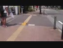 だよんのゴミ拾い配信