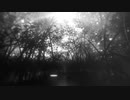 【無名戦17】鏡花水月の宵【BGA】