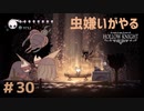 【虫嫌いがやる】Hollow Knight　part30【実況】