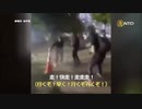 全米の暴動に中国人が関与・民主活動家「中国共産党が裏で糸を引いている」