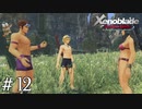 薄着でケガしやすいので回復頼みます【ゼノブレDE実況＃12】