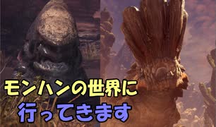 【MHW】モンハンの世界に行ってきます　part６【実況プレイ】