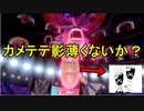 [ポケモン剣盾]　カメテテ絶対選出ランクバトル　～最近カメテテ影薄くね？～