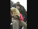 みんしゅしゅぎで　もらるがない　うそつきどもが　あわられた！