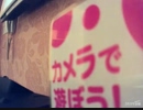 (歌ってみた)Lost Princess