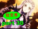 【実況】 素晴らしき世界観を求め、漆黒のシャルノス【part30】