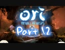 [CeVIO実況]OИE And The Will Of The Wispsをのんびり初見攻略 Part12