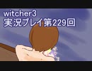 探し人を求めてwitcher3実況プレイ第229回