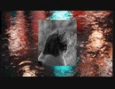 MONOCHROME NOSTALGIE (Arrange & Cover)