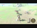 70歳がプレイするゼルダの伝説BotW （パート１９：東はテール：ウオトリー村）