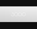 3000