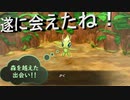 【ポケダンDX】 第三十八幕　遂に遂に清らかな森突破！！セレビィと出会えた～