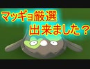 【ポケモンGO】マッギョ厳選出来ました？明日はGO+で砂を稼ごう！！