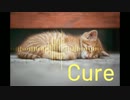 Cure / カイナ