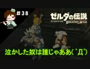 【実況】マスターモードでやりこみサバイバル生活！！　Part38　【ゼルダの伝説　BotW】