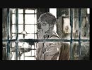 あみさ❣️About me/蝶々P [歌ってみた]