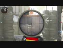 【CoD:MW】とある酔っ払いのゲーム記～かーちゃんといっしょ～