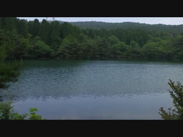 水辺の風景_その5-1