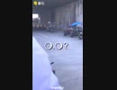 The joy of  delivery men(CN)