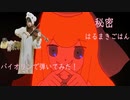 【秘密】バイオリンで弾いてみた！【はるまきごはん】