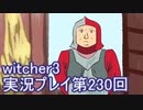 探し人を求めてwitcher3実況プレイ第230回