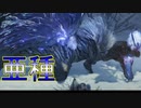 【MHWIB】アンジャナフさん、亜種で別人になる―復帰勢によるまったりモンハンワールド