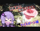 【MHWI】狩猟笛を 初心者向けに解説(アイスボーン編)【VOICEROID解説】