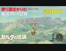 【寄り道ばかりの】ゼルダの伝説BotW【実況プレイ記録85】リトの村道中記①