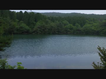 水辺の風景_その5-2