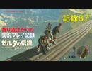 【寄り道ばかりの】ゼルダの伝説BotW【実況プレイ記録87】リトの村道中記③