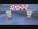 ジ　ャ　ラ　コ　か　わ　い　い　.剣盾実況