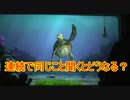 連続で同じこと聞くとどうなる？【タートルトーク】東京ディズニーシー