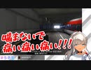 飼い猫に噛まれたり、猫を車で引いてしまう轟京子のGTA5【にじさんじ切り抜き】