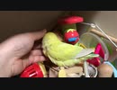 耳カメでインコの世界を覗いてみた。