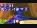 探し人を求めてwitcher3実況プレイ第231回