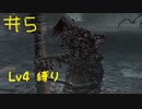 【Bloodborne Lv4縛り】フロムゲー中級者のブラッドボーンpart5【実況プレイ】
