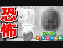 新婚写真に写ってしまった招かれざる客【あつまれ どうぶつの森】#11